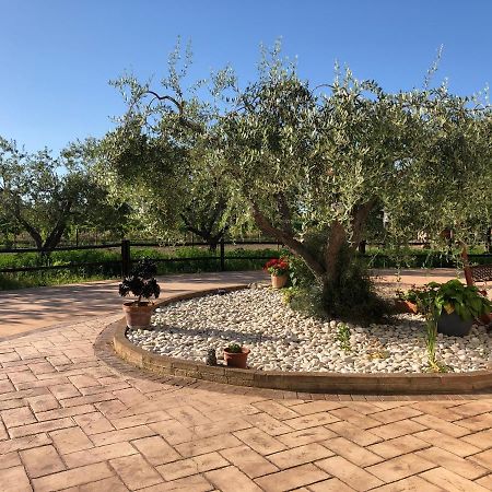 B&B Villa Eden Ortona Buitenkant foto